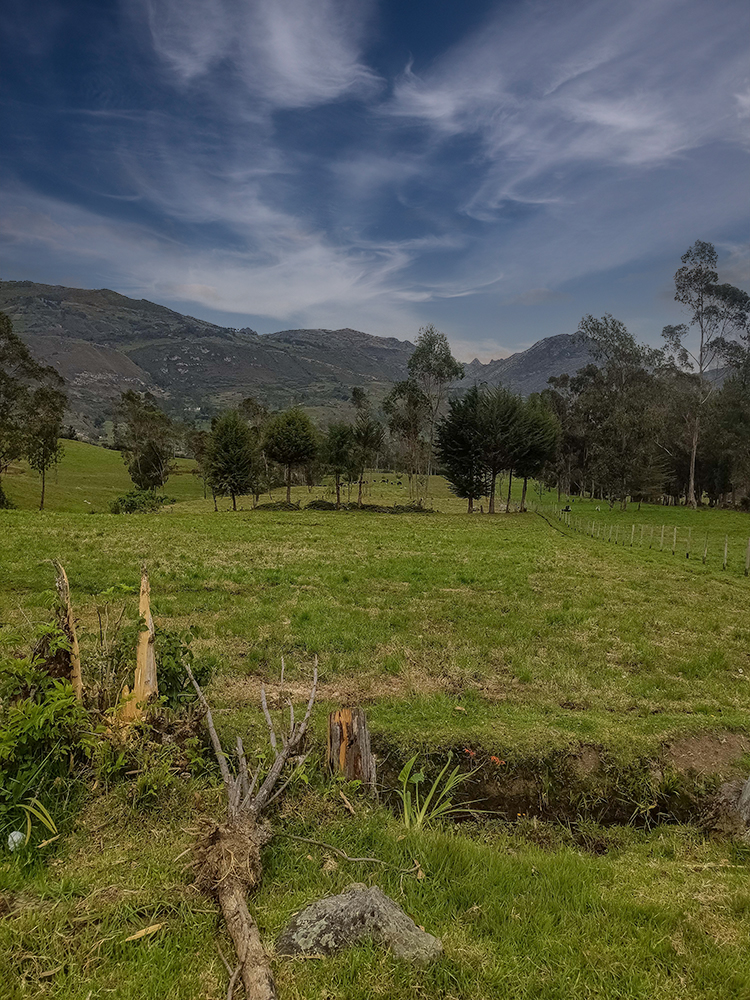 USD 1.300.000

20 hectáreas con regadío -Terrenos fértiles en Yanacancha Grande